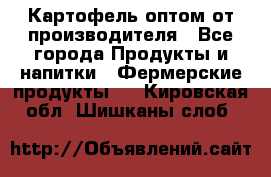 Картофель оптом от производителя - Все города Продукты и напитки » Фермерские продукты   . Кировская обл.,Шишканы слоб.